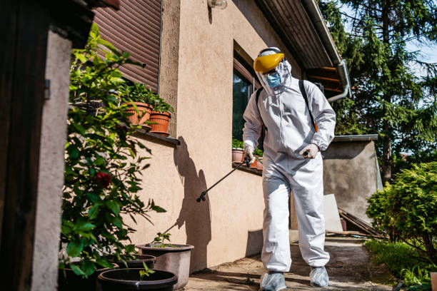 Best Pest Inspection Near Me  in Poughkeepsie, NY