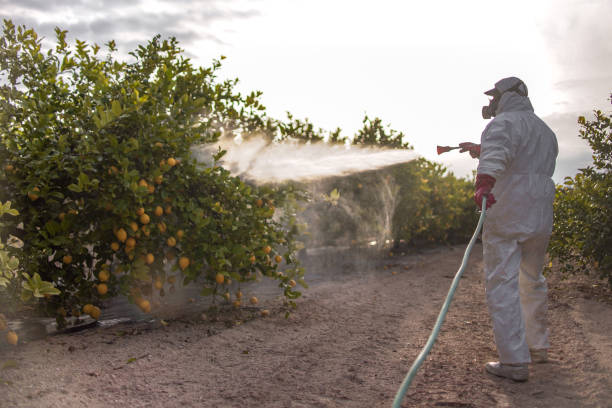 Best Local Pest Control Services  in Poughkeepsie, NY