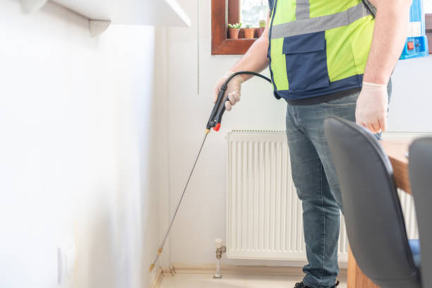 Best Wasp Removal Services  in Poughkeepsie, NY