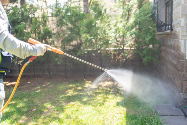 Best Emergency Pest Control  in Poughkeepsie, NY