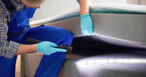 Best Pest Control Near Me in Poughkeepsie, NY