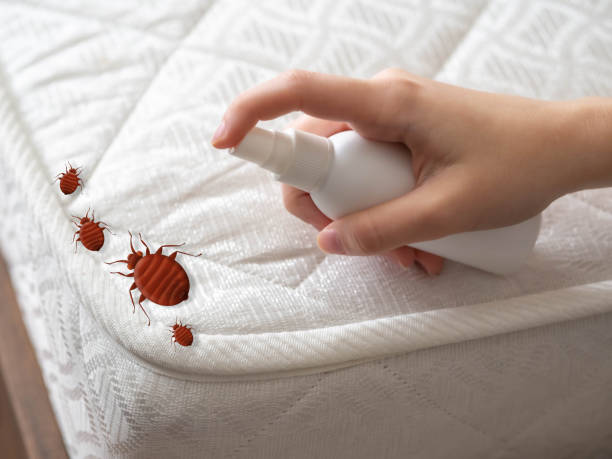 Best Pest Prevention Services  in Poughkeepsie, NY