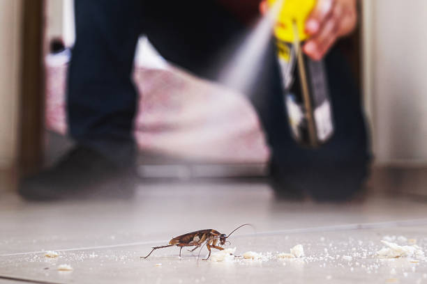 Best Local Pest Control Services  in Poughkeepsie, NY