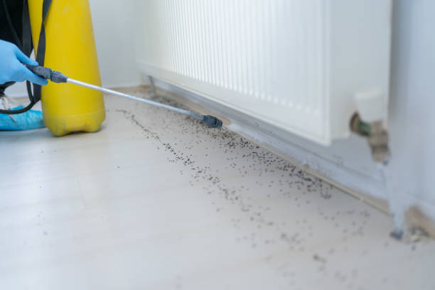 Best Exterminator Services  in Poughkeepsie, NY