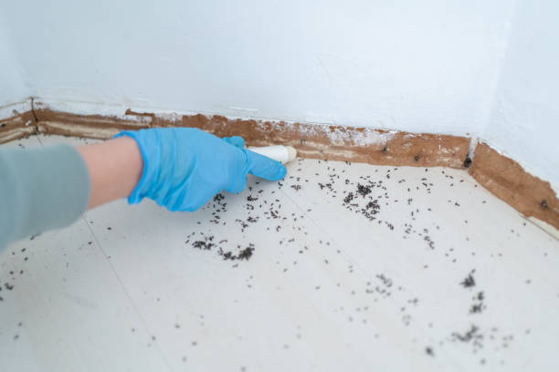 Pest Control for Restaurants in Poughkeepsie, NY