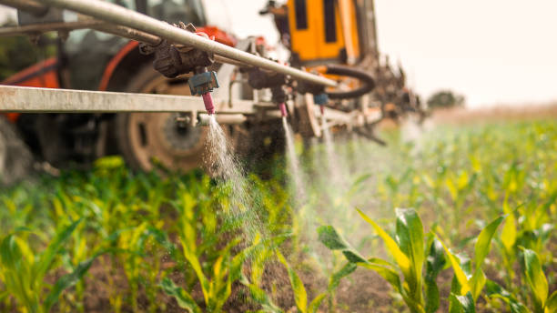 Best Commercial Pest Control Services  in Poughkeepsie, NY