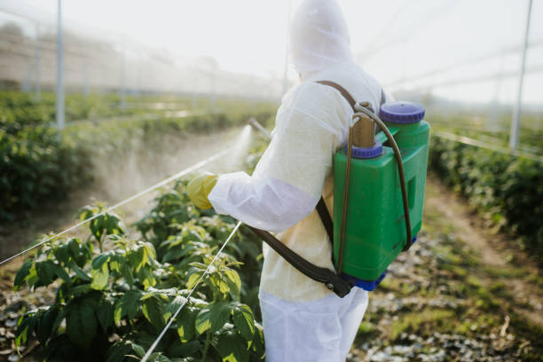 Best Bed Bug Extermination  in Poughkeepsie, NY
